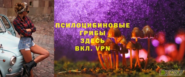 спайс Алексеевка