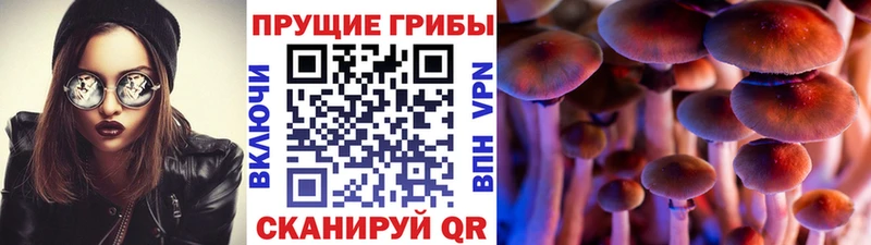 hydra зеркало Лосино-Петровский Псилоцибиновые грибы ЛСД