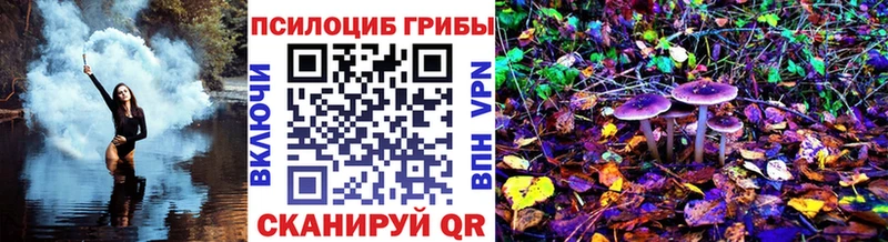 Псилоцибиновые грибы ЛСД Лосино-Петровский